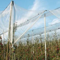 Hagelschutznetz im Obst- und Weinbau